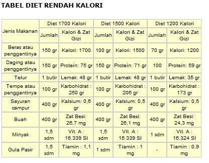 diet-rendah-kalori-593b78bd5197739a580a923a.jpg