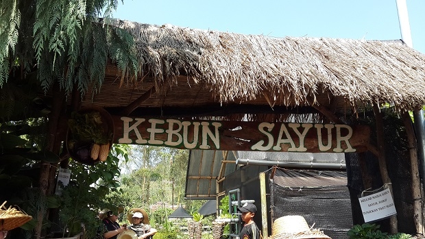 Pintu Masuk Kebun Sayur