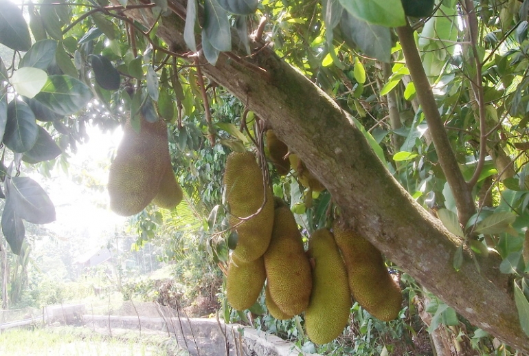 3 Mmayxo7hqq9m 3 Mmayxo7hqq9m