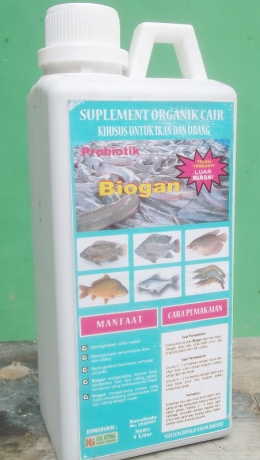 Probiotik Biogan membuat ikan gurame cepat bongsor dan gesit / dokpri