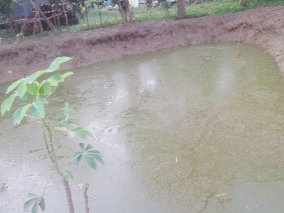 penyiapan air baiknya dikasih probiotik biogan / dokpri