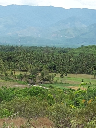 Pemandangan dari atas Gunung Makam Parmata Sapihak (dokpri)