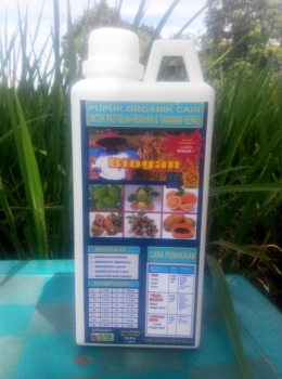 Pupuk Organik cair Murni Biogan untuk kelengkeng dan buah-buahan | DOK.PRIBADI