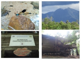 Tempat penelitian capung di stasiun penelitian Cabang Panti, Gunung Palung