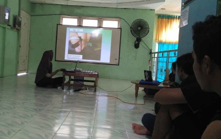 Weni Julaika saat mempresentasikan hasil penelitiannya di kantor Yayasan Palung, Jumat (16/6), pekan lalu.