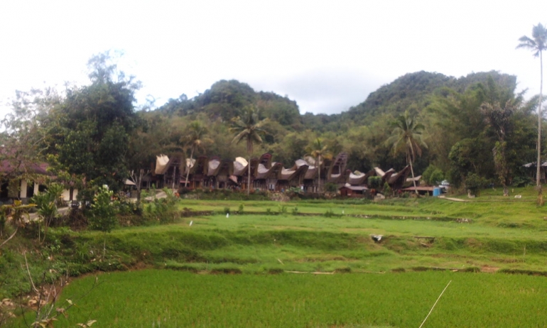 Pemandangan Rumah Adat Toraja Tongkonan di Kete Ke'su' (Dokumentasi Pribadi)