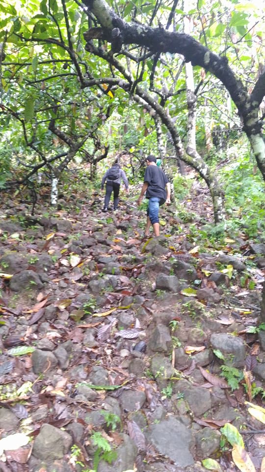 Setelah menyeberangi sungai, kini mendaki bukit untuk mencapai lokasi penelitian di wilayah kerja Balai Arkeologi Maluku (Foto: Wuri Handoko)