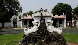  (patung dua Singa di depan Museum Singa Barong -Kraton Kasepuhan, penampakan singa nya unyu unyu) (patung dua Singa di depan Museum Singa Barong -Kraton Kasepuhan, penampakan singa nya unyu unyu)