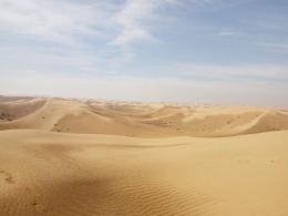 Padang pasir Kubuqi yang panas menyengat di siang hari