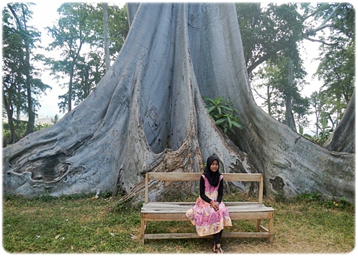 Spot foto instagramable, Pohon Raksasa Lian. Dokpri