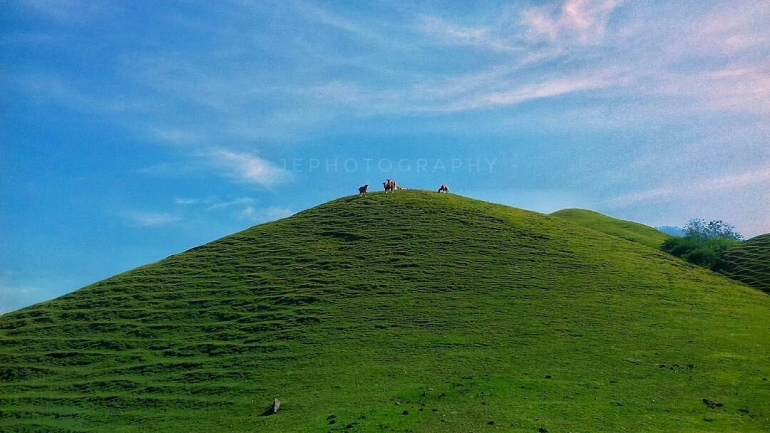 Sumber Gambar: Toraja Folk