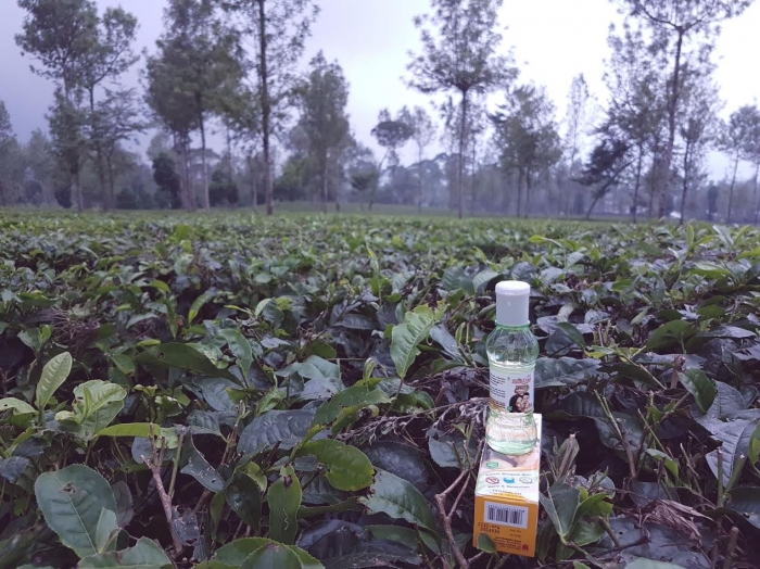 Telon Lang Plus melindungi dari gigitan nyamuk