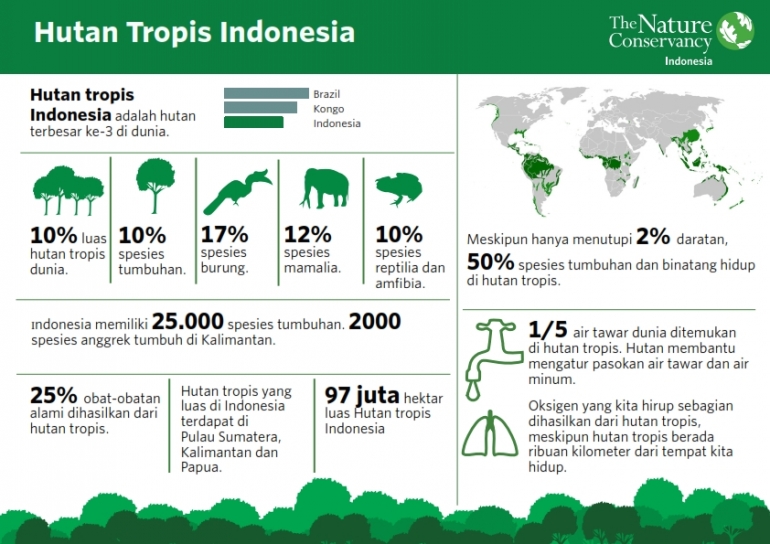 hutan-indonesia- data dok. TNC Indonesia