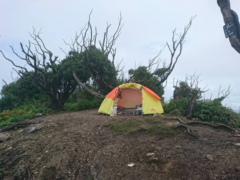 Tenda dan suasana sore di puncak hutan mati (dokpri)