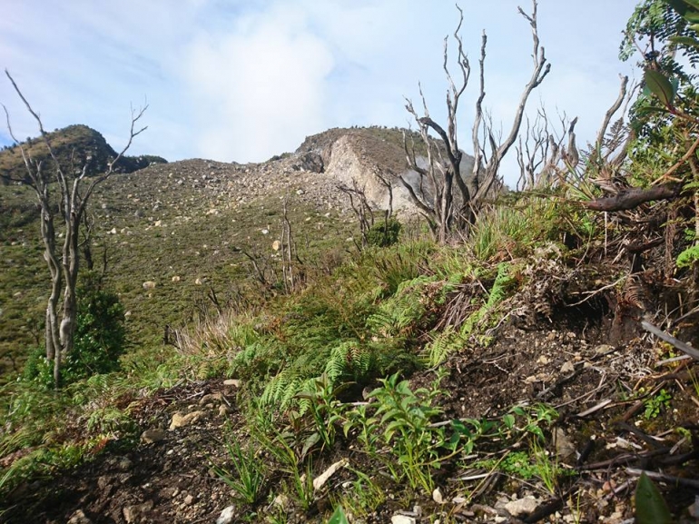 Puncak kedua dilihat dari puncak pertama hutan mati (dokpri)