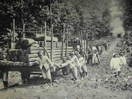Pribumi bekerja secara paksa (kerja rodi) membuat Jalan Anyer Panarukan (Sumber: reidfile.com)