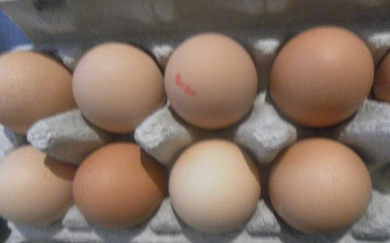 Telur ukuran jumbo 700 gr/per butir (Dokumentasi Pribadi)