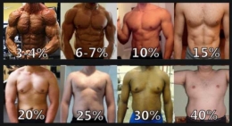 https://d3ud9dy4idniyk.cloudfront.net (visualisasi persen lemak tubuh pada pria)