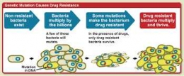Ilustrasi resistensi antibiotik (biology-igcse.weebly.com)