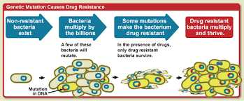 Ilustrasi resistensi antibiotik (biology-igcse.weebly.com)