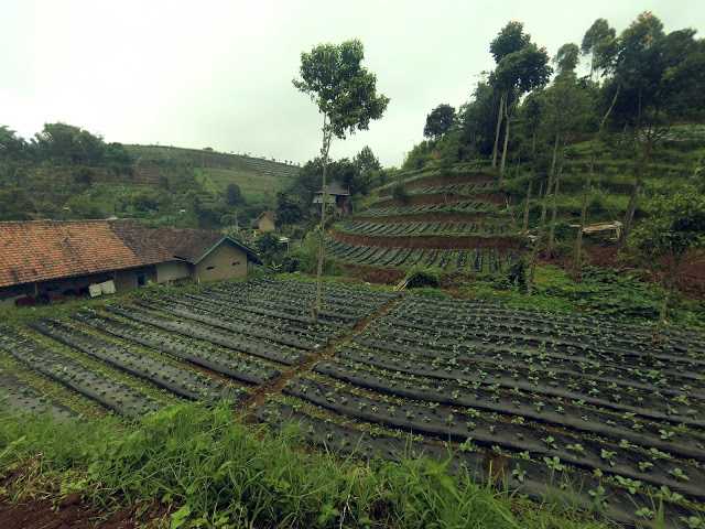 Dokumentasi Pribadi