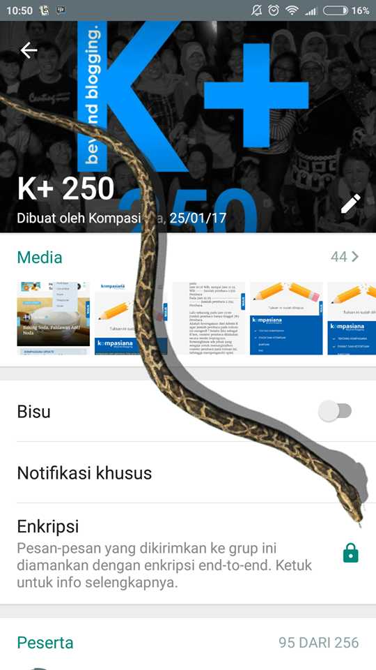 Sumber Gambar: Dok Pribadi/ Bukan Hanya Facebook, WhatsApp Juga Bisa