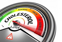 Pentingnya Mencegah Kolesterol Tinggi | seismic.com