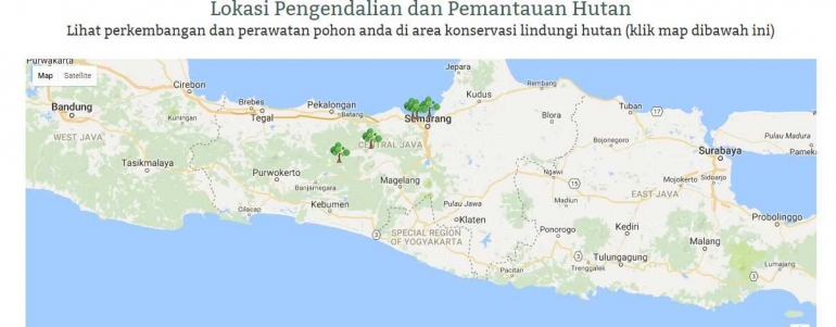 Foto persebaran bibit yang sudah ditanam- Sumber: www.lindungihutan.com