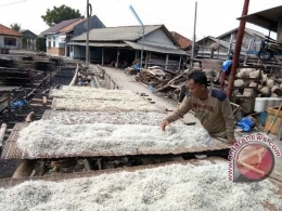 Kelangkaan garam dan lonjakan harga garam, juga dialami perajin ikan asin di Pulau Pasaran, Bandarlampung, Provinsi Lampung. Sebelumnya, harga garam Rp 1.000 per kilogram, kini melonjak menjadi Rp 5.000. Untuk mengasinkan ikan teri sebanyak 100 kilogram, dibutuhkan garam minimal 50 kilogram. Bila jumlah garam dikurangi, ikan asin tersebut akan mudah busuk. Foto: antaranews.com