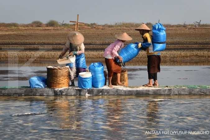 Usaha garam dan usaha ikan asin, banyak menyerap tenaga kerja, terutama tenaga kerja perempuan. Di wilayah pesisir, para suami mereka melaut mencari ikan, sementara para istri bekerja sebagai petani garam dan mengolah ikan asin. Kelangkaan garam dan lonjakan harga garam, telah mencampakkan mereka sebagai penganguran. Foto: antarafoto.com