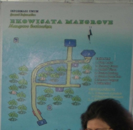 Peta lokasi ekowisata Mangrove (dok. pribadi) mohon abaikan dahi tante saya