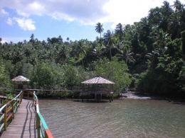 pondok & hutan mangrove (dok. pribadi)