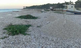 Pantai Kolbano | Dok. Pribadi
