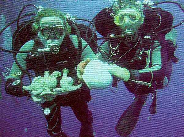 Pengambilan benda arkeologis dari dalam laut secara metodologis (Sumber: Bangkitlah Bangsa Bahari, 2012)