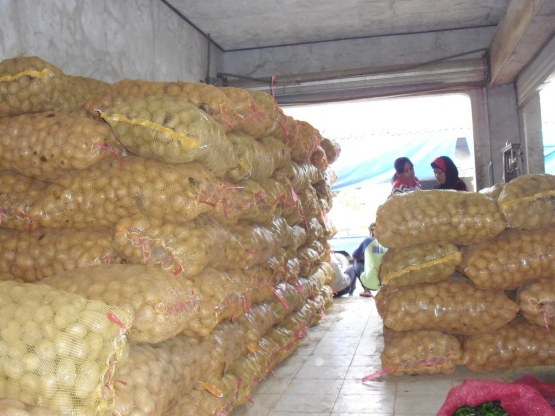 Kentang menjadi salah satu komoditas unggulan Majalengka (sumber gambar: 4.bp.blogspot.com)