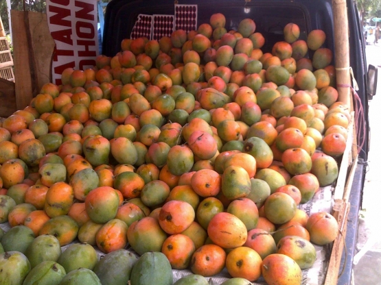 Mangga Majalengka terkenal hingga ke Mancanegara (sumber gambar: rinaldimunir.files.wordpress.com)
