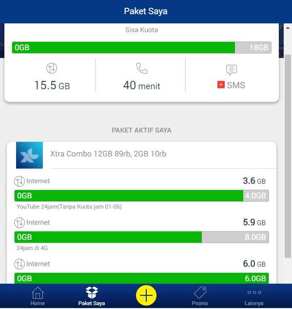 Informasi data yang digunakan serta sisa data XL 4G pada MyXL (screen shot pribadi)