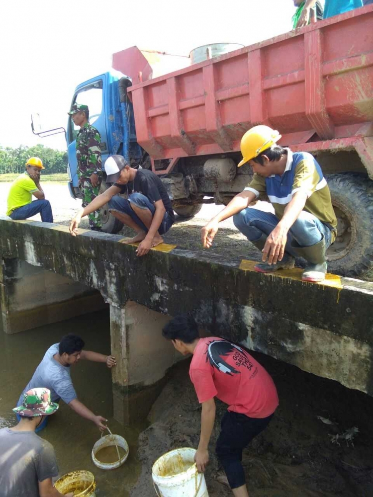 Aliran Sungai Tercemar Limbah Sawit