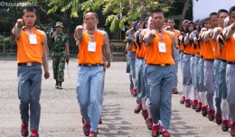 Barisanmu mulai nampak rapi dan seirama