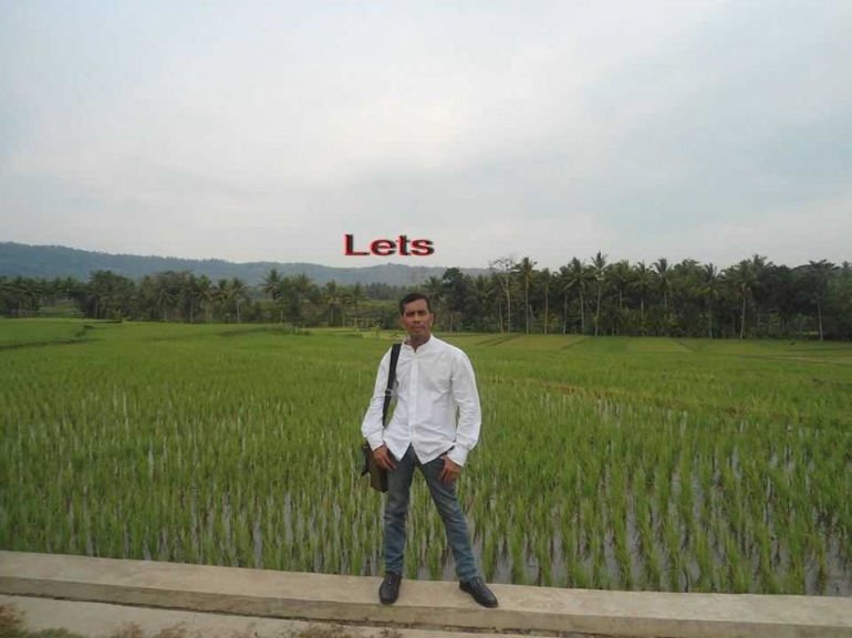 Cinta Indonesia dan kita cinta padi Indonesia
