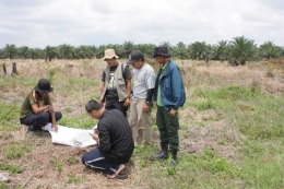 Picture: A survey of habitat prevention in Balai Raja (2013) by BBKSDA Riau and WWF Indonesia