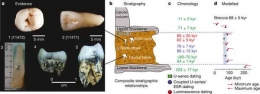 Lokasi temuan berbagai fosil gigi di dalam gua. Photo: nature.com