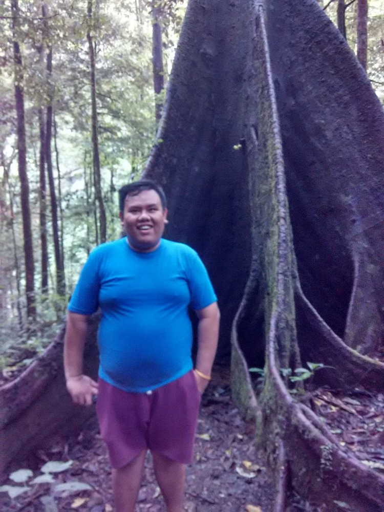 Berfoto dengan pohon terbesar yang ada di hutan ini