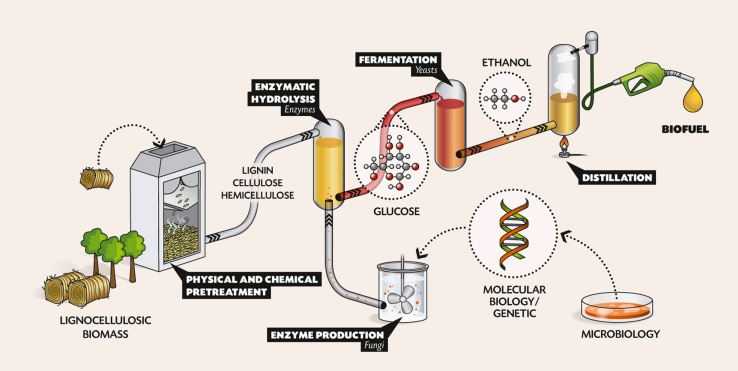 Gambar 3. Proses produksi bioetanol generasi 2 Sumber : IFPEN (http://www.ifpenergiesnouvelles.com/content/download/72424/1536754/version/1/file/Schema-VA-biocatalyseurs.pdf)