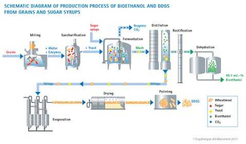 Gambar 2. Proses produksi bioetanol generasi 1 Sumber : Crop Energies (http://www.cropenergies.com/en/Bioetanol/Produktionsverfahren/)
