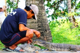 Pak Sakari salah seorang penjagan pulau sedang memberi makan para biawak dengan menjala ikan dari dermaga (dok.pri).