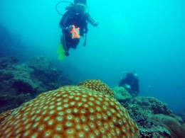 Penyelaman di sisi barat Pulau Biawak (dok.pri).