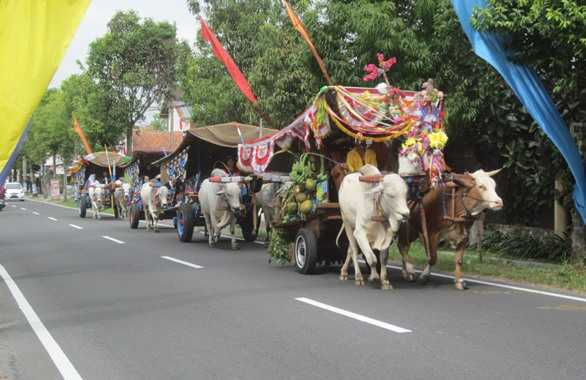 Gerobak sapi hias (Foto: Ko In)