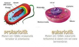 Gambar Sel Prokariotik dan Eukariotik (Sumber)