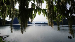 Suasana mistis Danau Gunung Tujuh :v (Dokumentasi Pribadi)